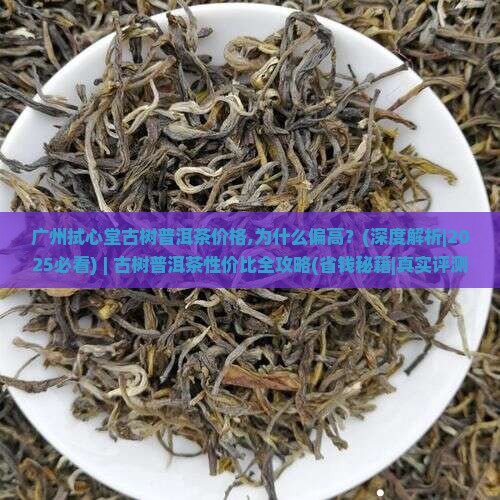 广州拭心堂古树普洱茶价格