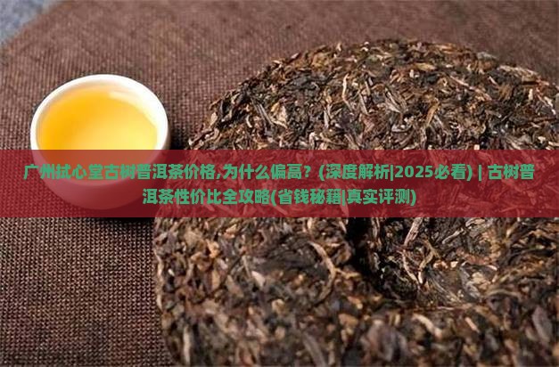 广州拭心堂古树普洱茶价格