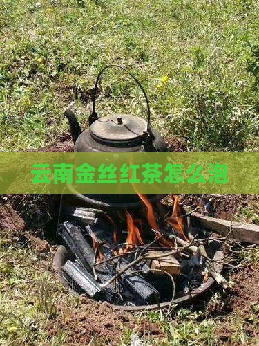 云南金丝红茶怎么泡