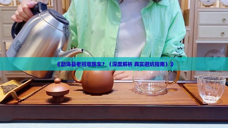 勐海县老班章跑车