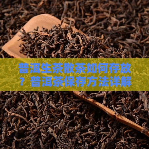 普洱生茶散茶存放