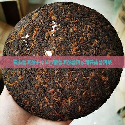 云南普洱茶十六年珍藏