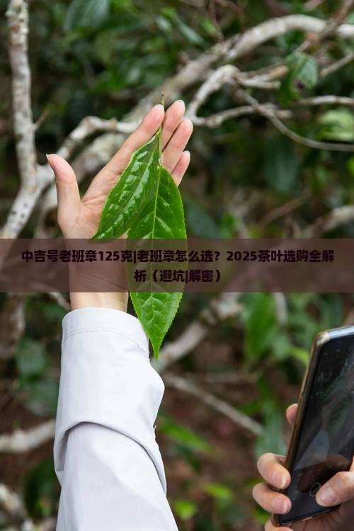 中吉号老班章125克