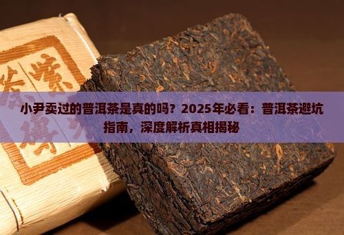 小尹卖过的普洱茶是真的吗