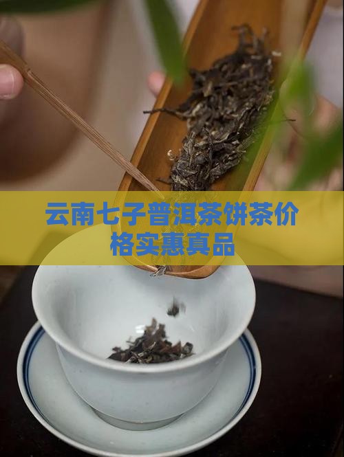 七子2006普洱茶