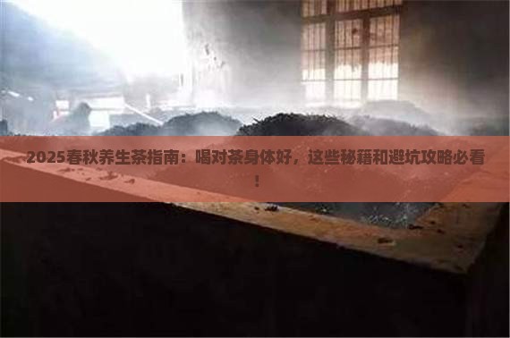 春秋喝什么茶对身体好