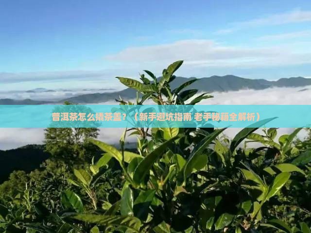 普洱茶怎么撬茶盖 普洱茶怎么撬茶盖