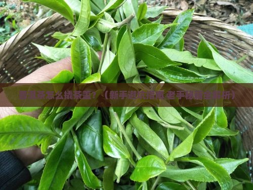 普洱茶怎么撬茶盖 普洱茶怎么撬茶盖