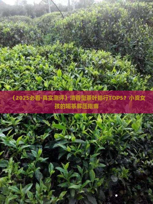 什么茶叶比较清香