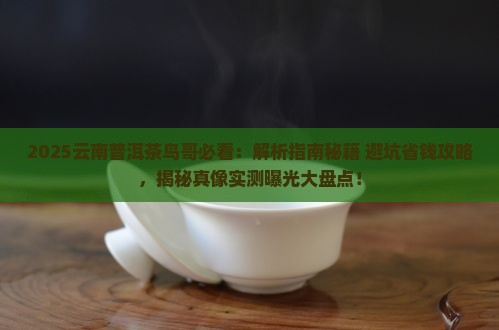 云南普洱茶鸟哥