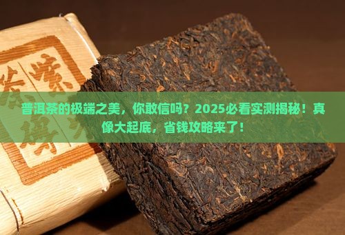 普洱茶的极端之美