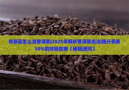 铁茶壶怎么泡普洱茶