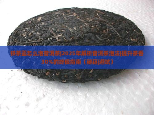 铁茶壶怎么泡普洱茶