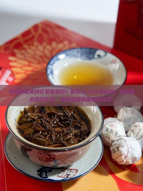 普洱茶老种好还是老茶好