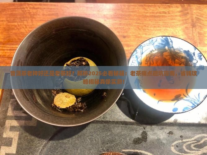 普洱茶老种好还是老茶好