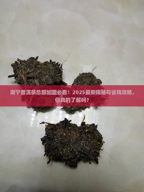 南宁普洱茶总部加盟