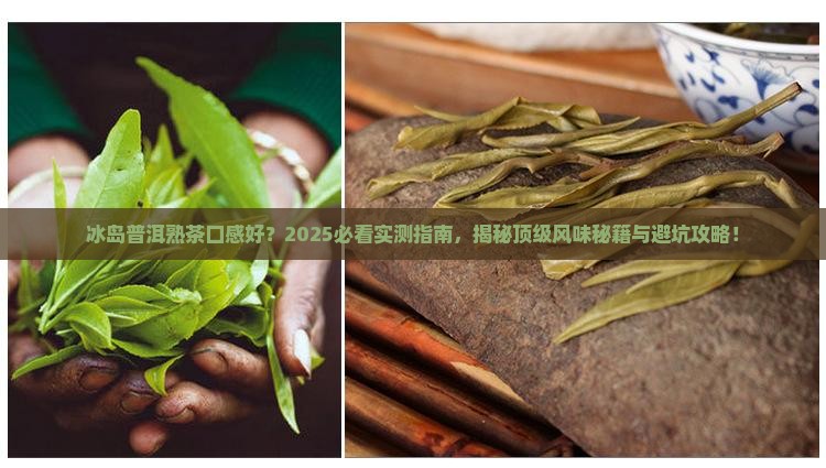 冰岛普洱熟茶什么口感好