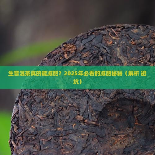 生普洱茶有减肥效果
