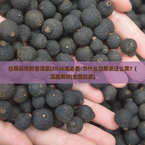 白菜标志的普洱茶