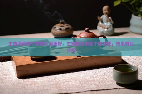 生普洱茶哪个减肥效果更好