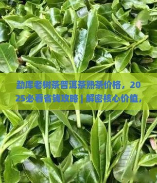 勐库老树茶普洱茶熟茶价格
