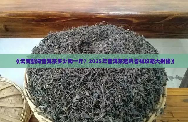 云南勐海普洱茶多少钱一斤
