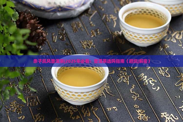 赤子凯风普洱茶
