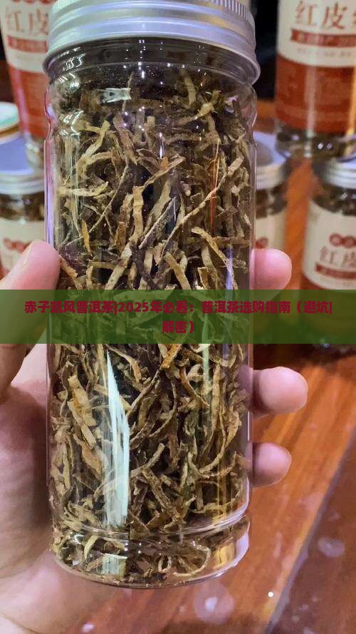 赤子凯风普洱茶