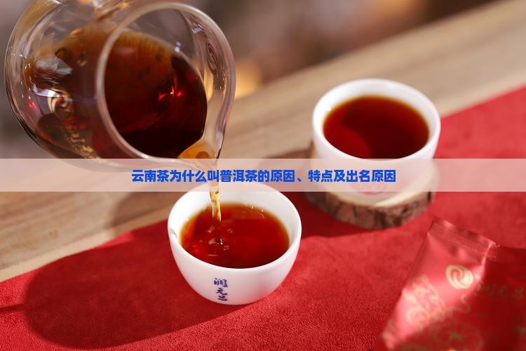 云南茶为什么叫普洱茶的原因