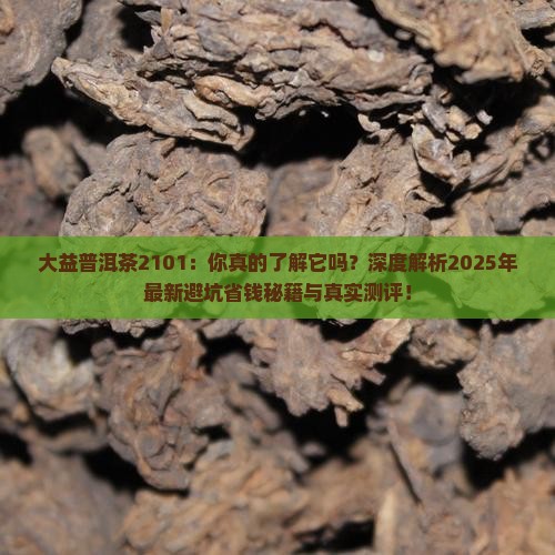 大益普洱茶2101