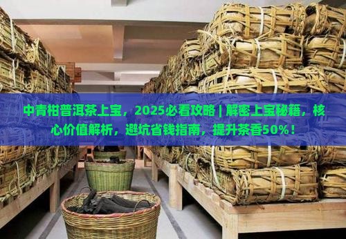 中青柑普洱茶上宝
