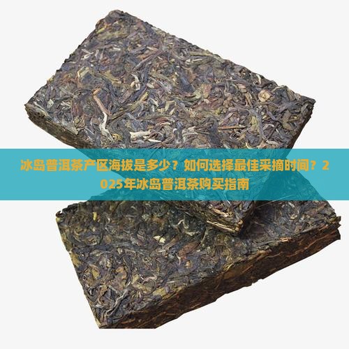 冰岛普洱茶产区海拔