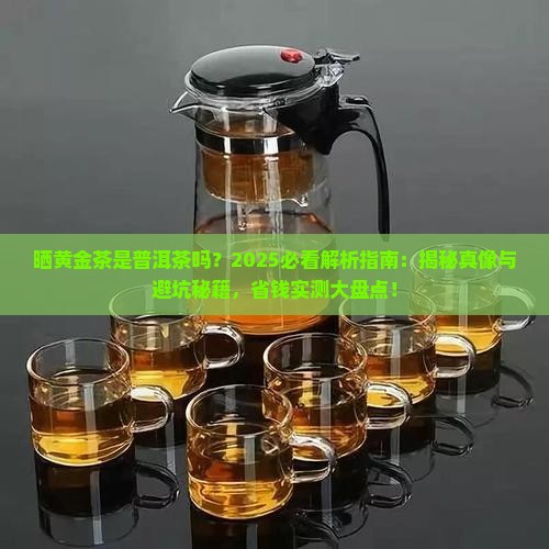 晒黄金茶是普洱茶吗