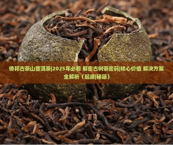 倚邦古茶山普洱茶