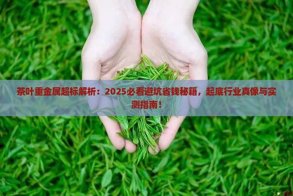 茶叶为什么重金属超标