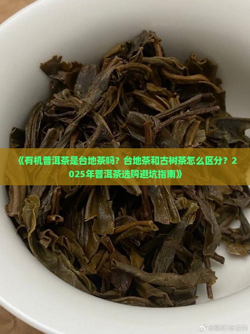 有机普洱茶是台地吗