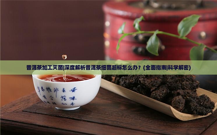 普洱茶加工灭菌