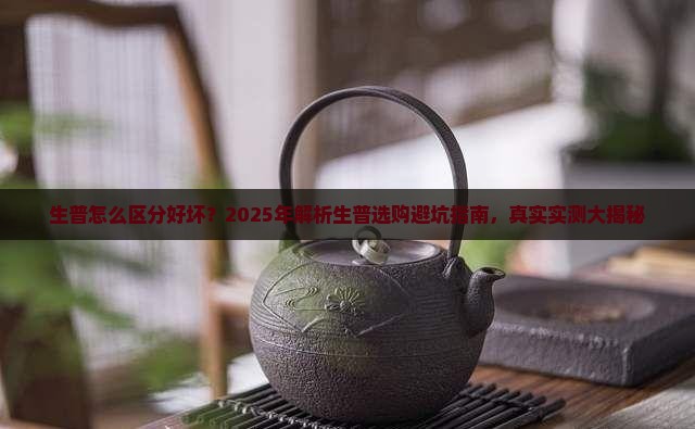生普怎么区分好与坏
