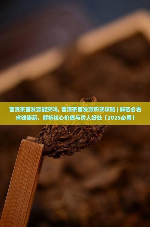 普洱茶首发款能买吗