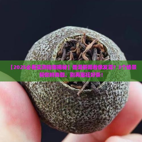 普洱茶味道有点像发霉了