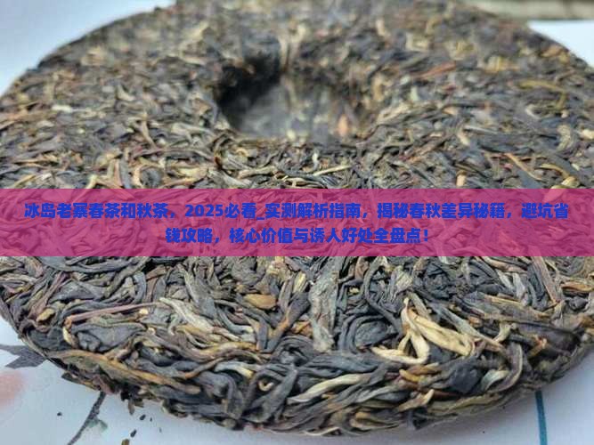冰岛老寨春茶和秋茶