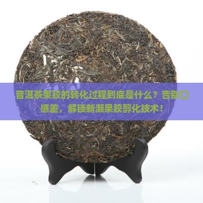 普洱茶果胶的转化过程是什么