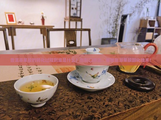 普洱茶果胶的转化过程是什么