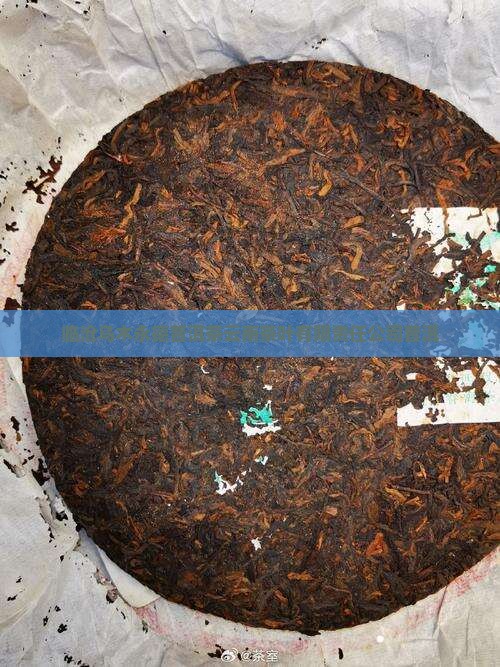 临沧乌木龙普洱茶