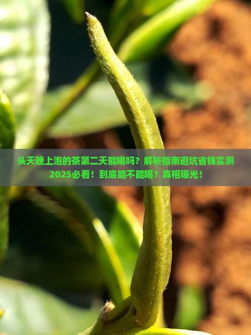 头天晚上泡的茶第二天能喝吗