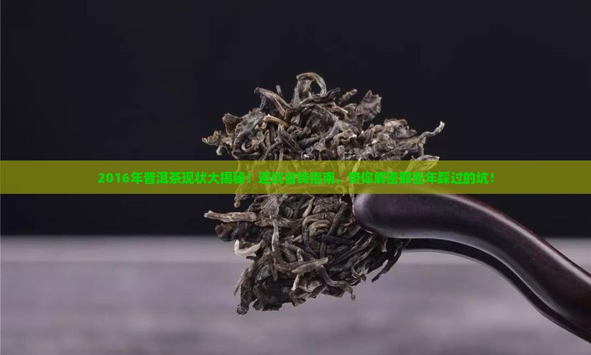 2016年普洱茶现状