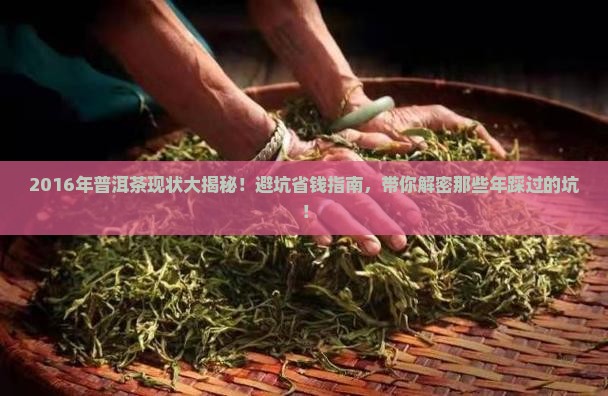 2016年普洱茶现状
