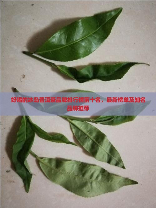 好喝的冰岛普洱茶品牌排行榜