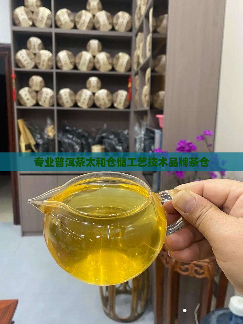 专业的普洱茶仓