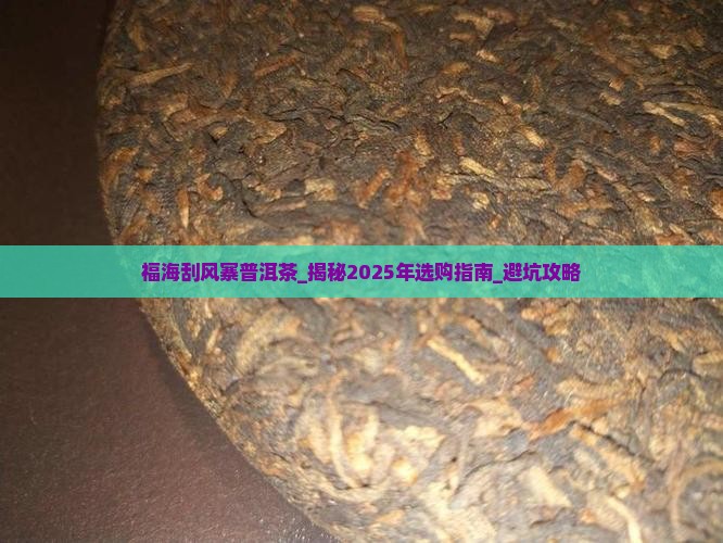 福海刮风寨普洱茶 福海刮风寨普洱茶